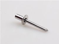 stainless steel blind end dome head rivet